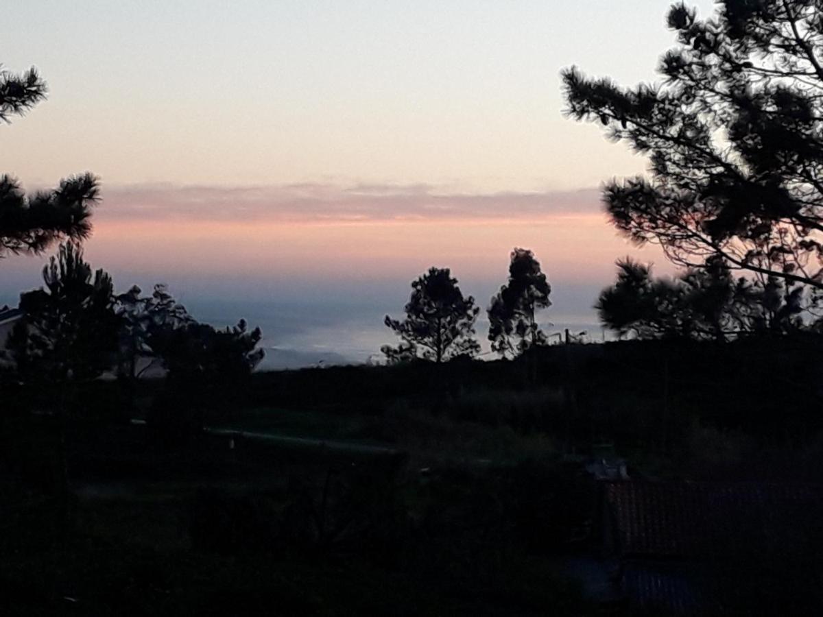 Quinta Bogesi Bed and Breakfast Figueira da Foz Eksteriør billede